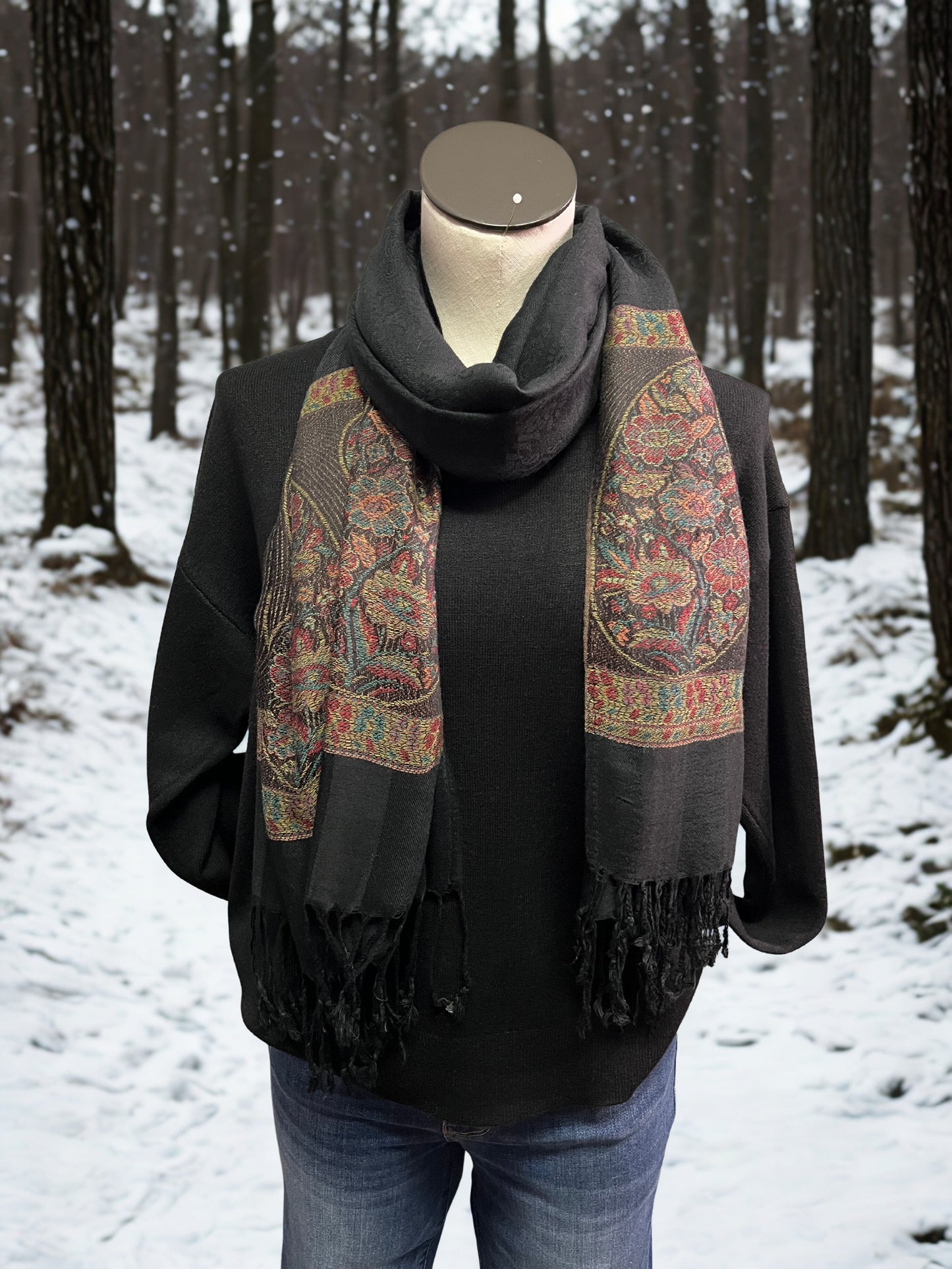 Borders of Paisley Pashmina
